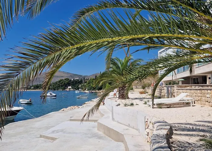 Floris Trogir